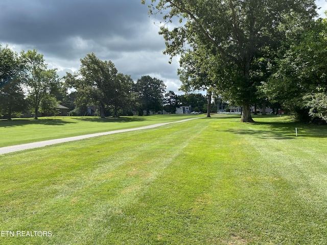 2565 Dunbar Rd, Crossville, TN 38572 - photo 30