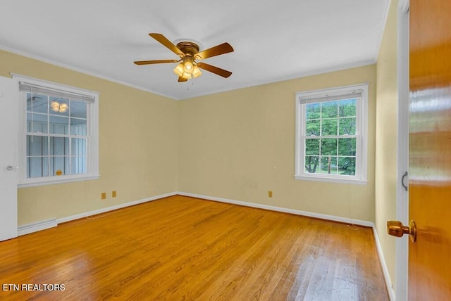 1202 Eastwood Dr, Cookeville, TN 38501 - photo 16