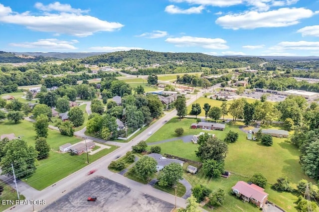 1202 Eastwood Dr, Cookeville, TN 38501 - photo 41