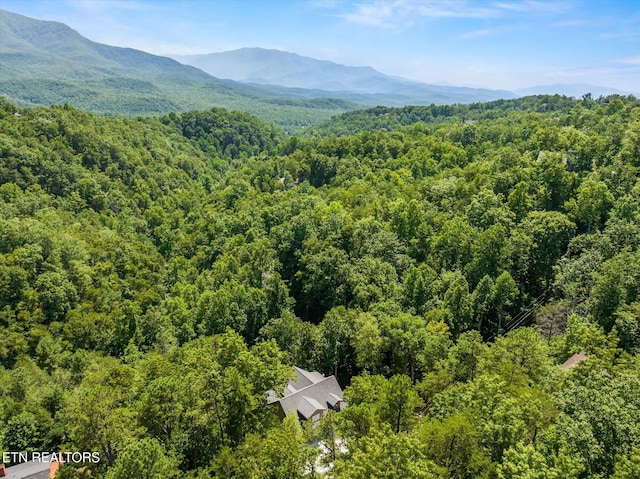 622 Coronation St, Gatlinburg, TN 37738 - photo 40