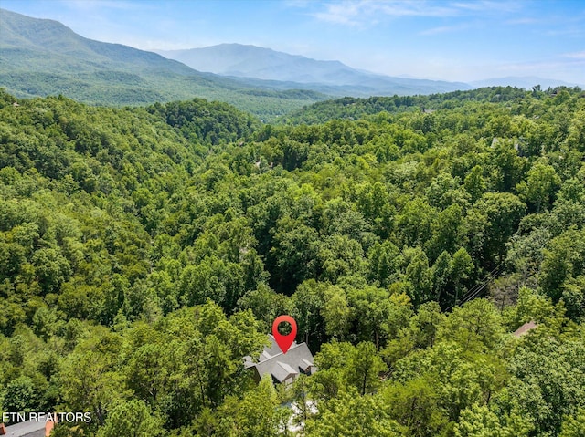622 Coronation St, Gatlinburg, TN 37738 - photo 41