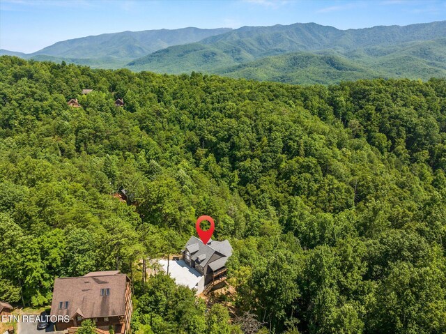 622 Coronation St, Gatlinburg, TN 37738 - photo 43