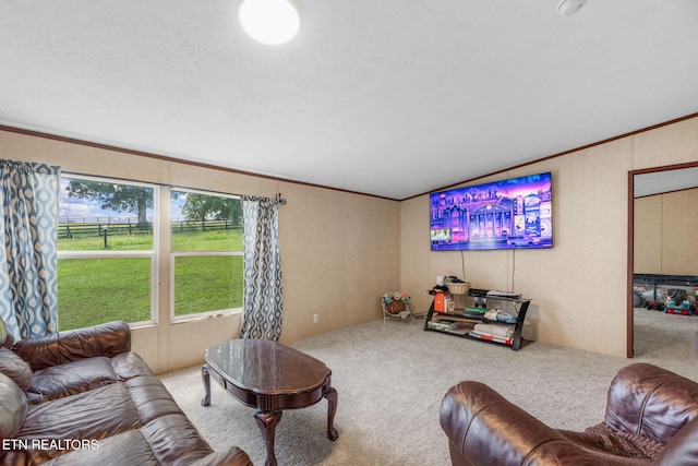 521 Old Poplar Springs Rd, Kingston, TN 37763 - photo 5