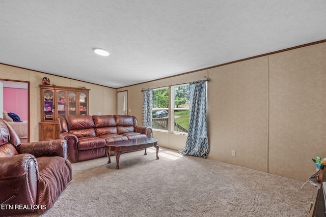 521 Old Poplar Springs Rd, Kingston, TN 37763 - photo 6