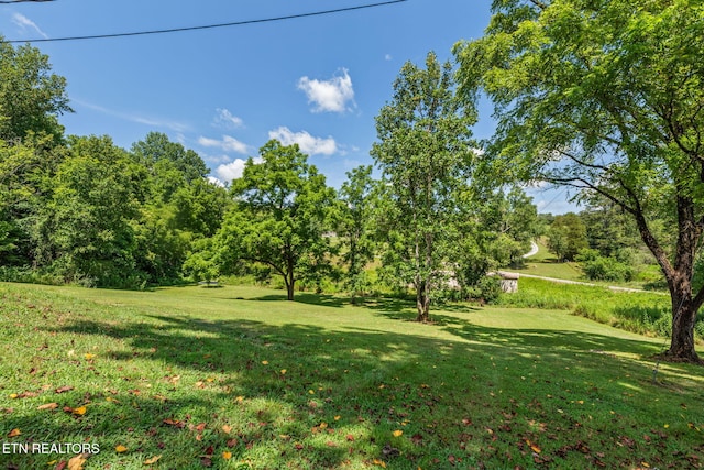 521 Old Poplar Springs Rd, Kingston, TN 37763 - photo 22