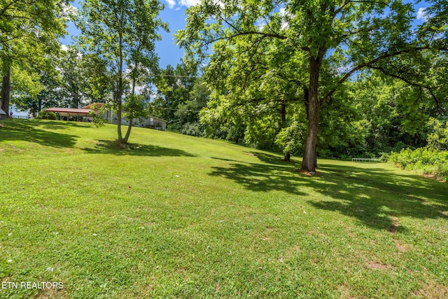 521 Old Poplar Springs Rd, Kingston, TN 37763 - photo 23