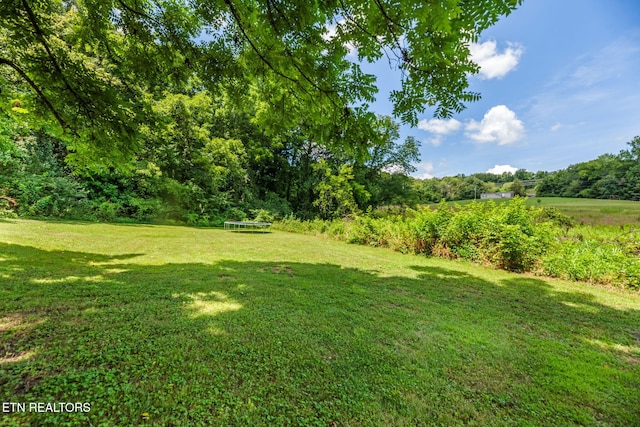 521 Old Poplar Springs Rd, Kingston, TN 37763 - photo 24