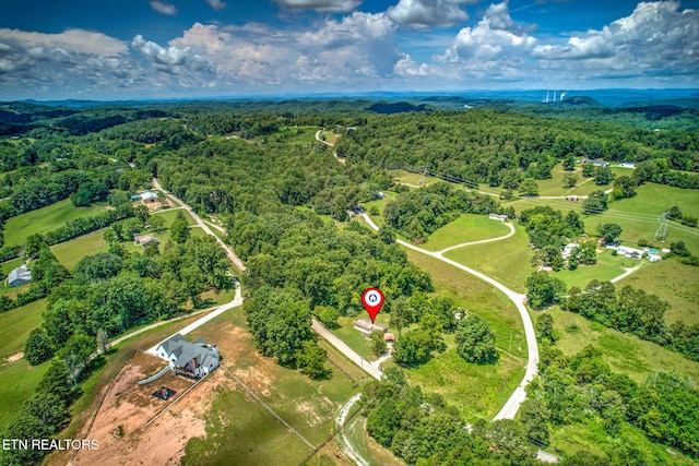 521 Old Poplar Springs Rd, Kingston, TN 37763 - photo 27