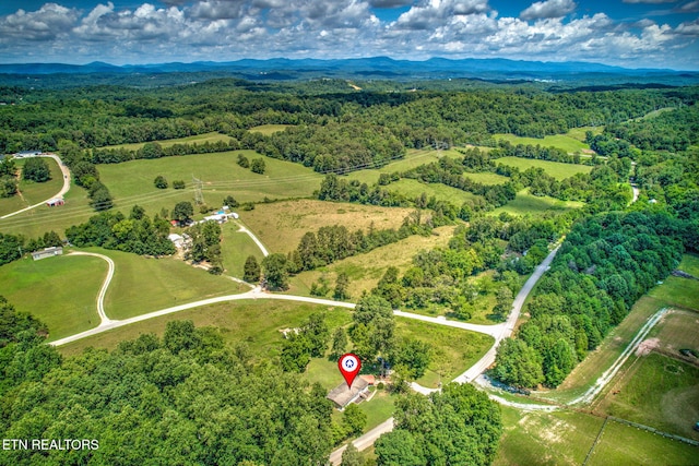 521 Old Poplar Springs Rd, Kingston, TN 37763 - photo 29