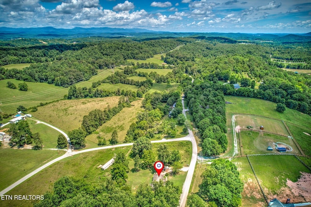 521 Old Poplar Springs Rd, Kingston, TN 37763 - photo 30