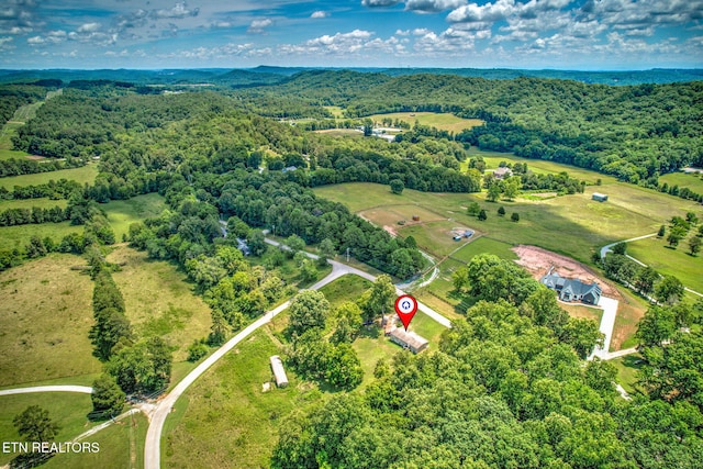 521 Old Poplar Springs Rd, Kingston, TN 37763 - photo 31