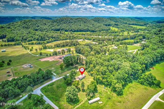 521 Old Poplar Springs Rd, Kingston, TN 37763 - photo 33