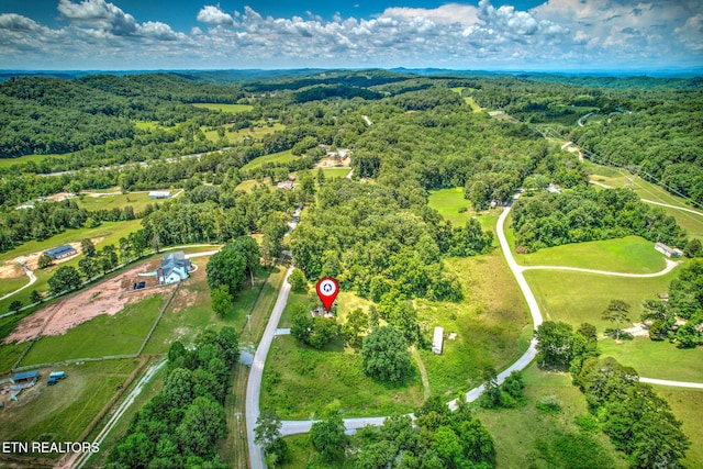 521 Old Poplar Springs Rd, Kingston, TN 37763 - photo 34