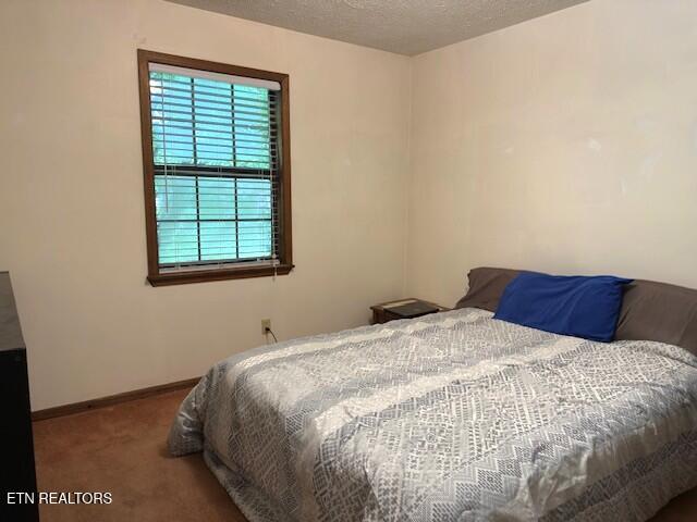 190 Grandview Dr, Crossville, TN 38555 - photo 37