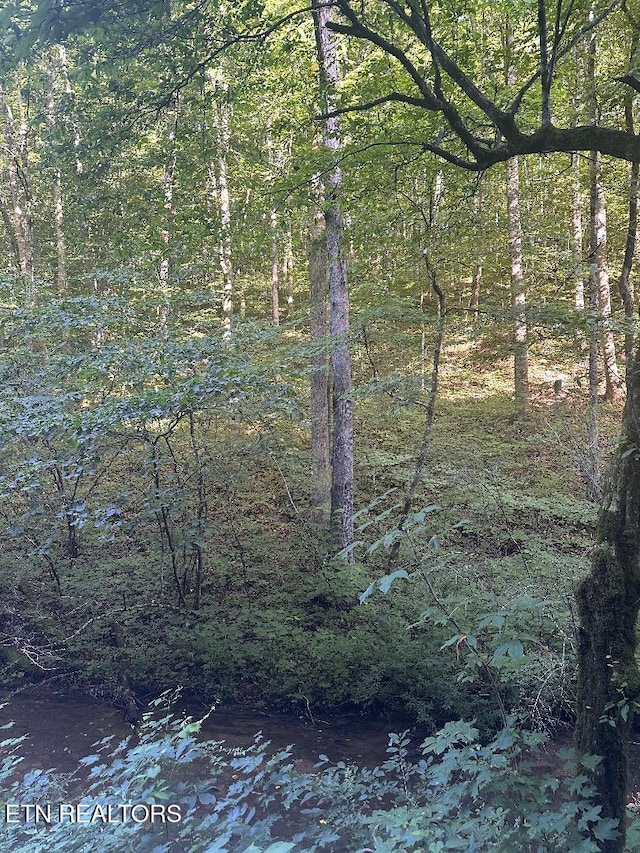 Lonesome Vally Rd, Tazewell, TN 37879 - photo 1