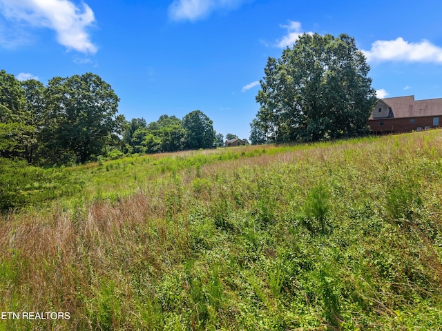 Woodstock Dr, Rutledge, TN 37861 - photo 3