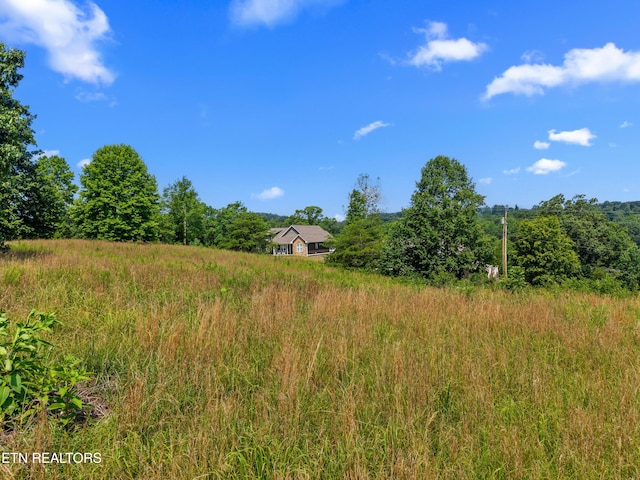 Woodstock Dr, Rutledge, TN 37861 - photo 4