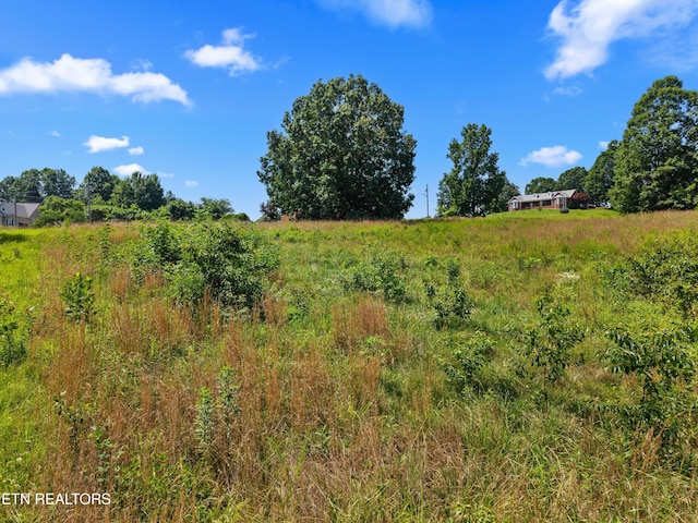 Woodstock Dr, Rutledge, TN 37861 - photo 7