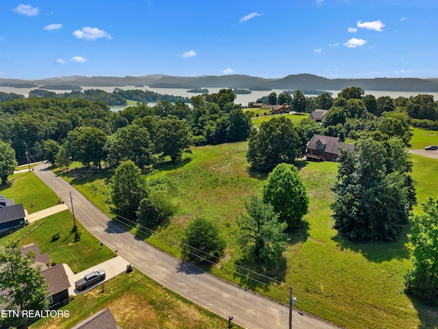 Woodstock Dr, Rutledge, TN 37861 - photo 8