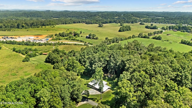 1057 Topside Dr, Sevierville, TN 37862 - photo 49