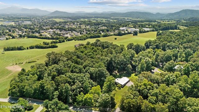 1057 Topside Dr, Sevierville, TN 37862 - photo 52