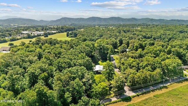 1057 Topside Dr, Sevierville, TN 37862 - photo 53