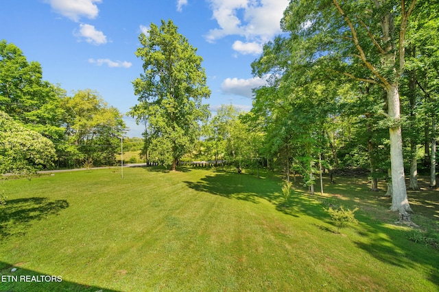 1057 Topside Dr, Sevierville, TN 37862 - photo 50