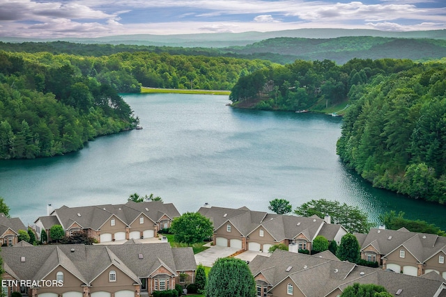 133 Lafayette Pt Unit 11, Crossville, TN 38558 - photo 48