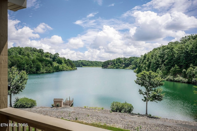 133 Lafayette Pt Unit 11, Crossville, TN 38558 - photo 49