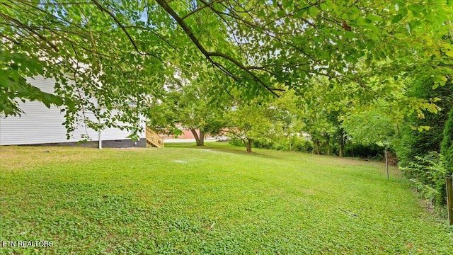 601 N Kingston Ave, Rockwood, TN 37854 - photo 29