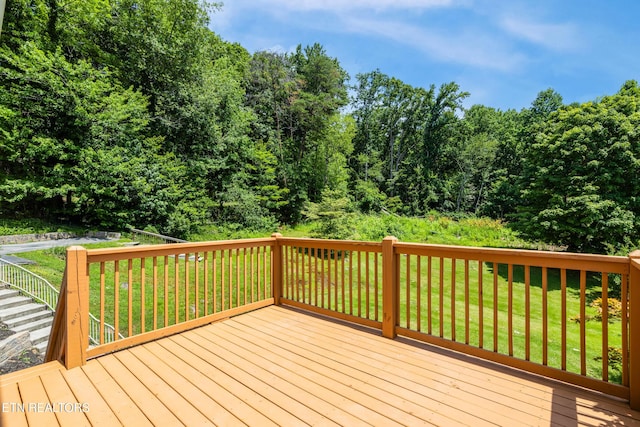 2004 Plumb Ridge Rd, Knoxville, TN 37932 - photo 36
