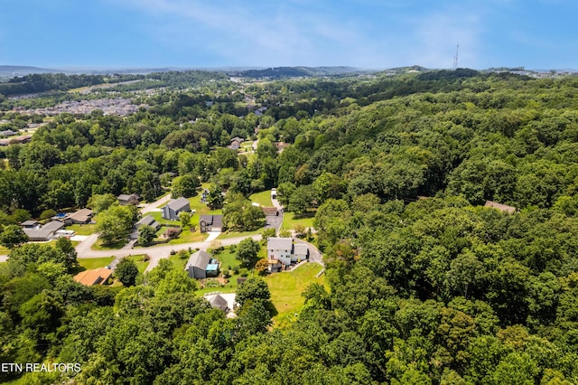 2004 Plumb Ridge Rd, Knoxville, TN 37932 - photo 4