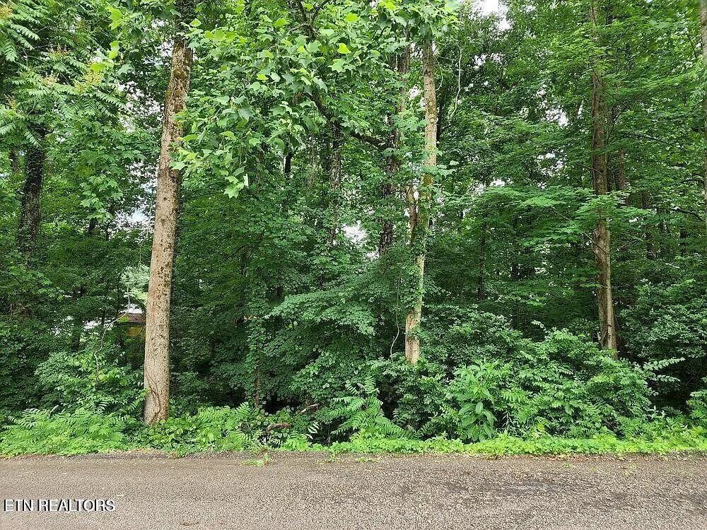 5016 Laurel Woods Dr, Knoxville, TN 37921 - photo 2