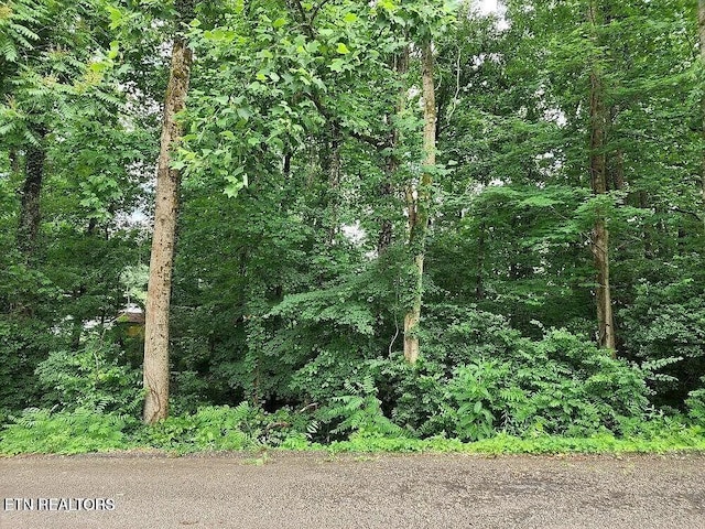 5016 Laurel Woods Dr, Knoxville, TN 37921 - photo 2