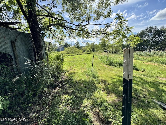 1353 Roy Owens Rd, Jamestown, TN 38556 - view of yard