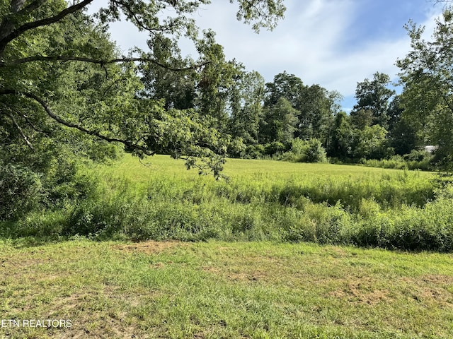 1353 Roy Owens Rd, Jamestown, TN 38556 - view of nature