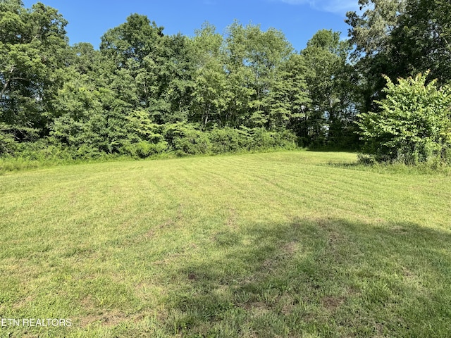 1353 Roy Owens Rd, Jamestown, TN 38556 - view of green lawn