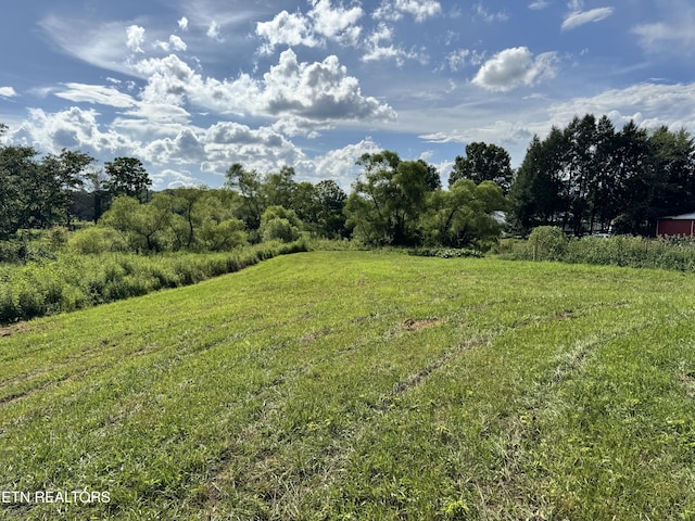 1353 Roy Owens Rd, Jamestown, TN 38556 - view of yard