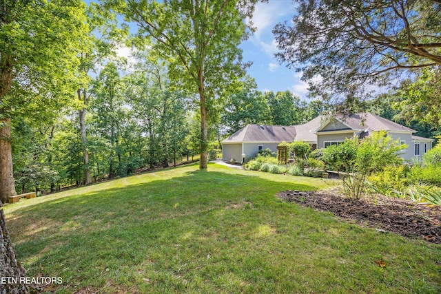 175 Conkinnon Dr, Lenoir City, TN 37772 - photo 54