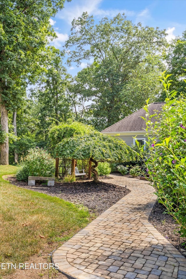 175 Conkinnon Dr, Lenoir City, TN 37772 - photo 51