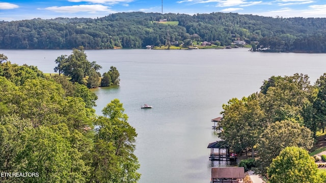 175 Conkinnon Dr, Lenoir City, TN 37772 - photo 59