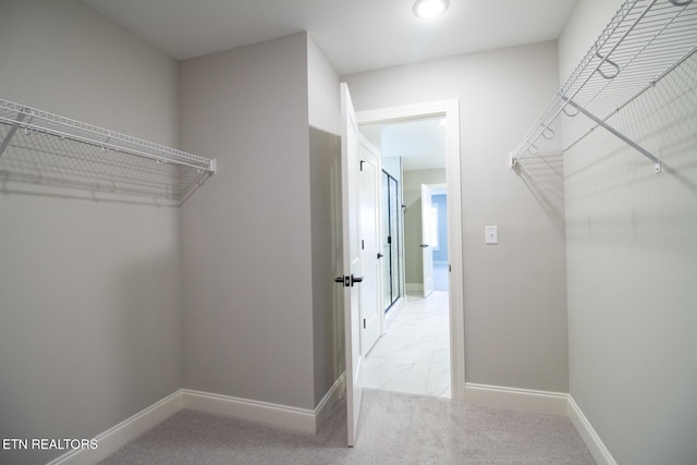 1208 Ft Craig Trl, Maryville, TN 37803 - photo 40