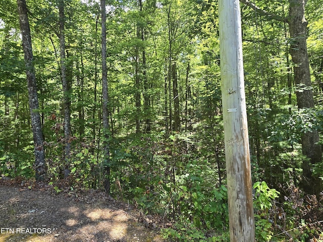 Overlook View Rd, Walland, TN 37886 - photo 4