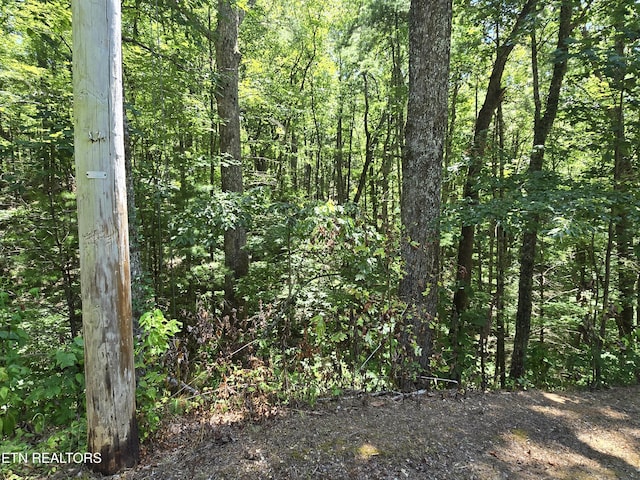 Overlook View Rd, Walland, TN 37886 - photo 5