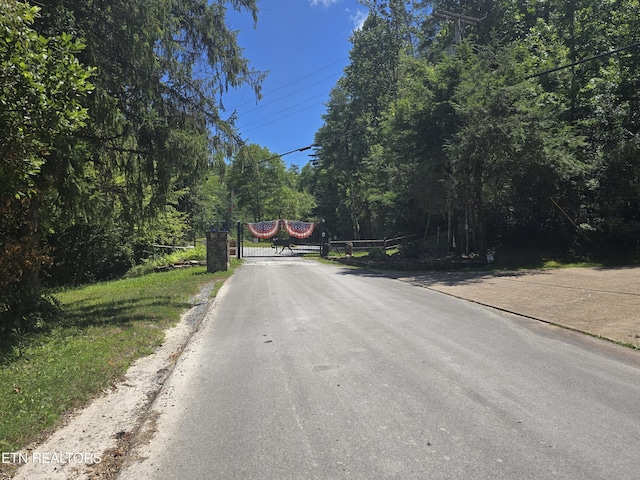 Overlook View Rd, Walland, TN 37886 - photo 6