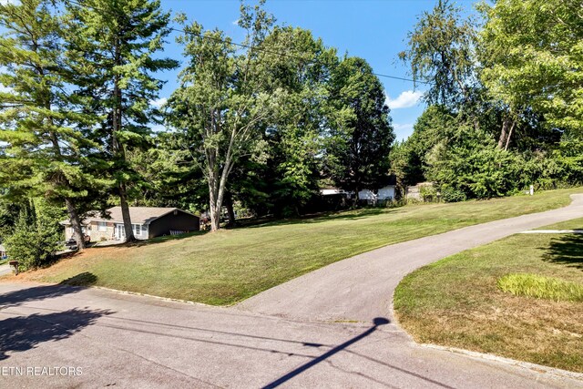 1210 Rowe St, New Tazewell, TN 37825 - photo 30