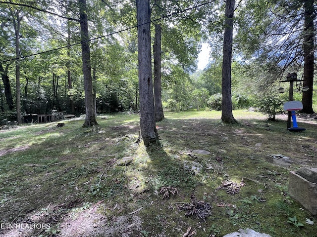 119 Wagon Hollow Rd, Middlesboro, KY 40965 - photo 30