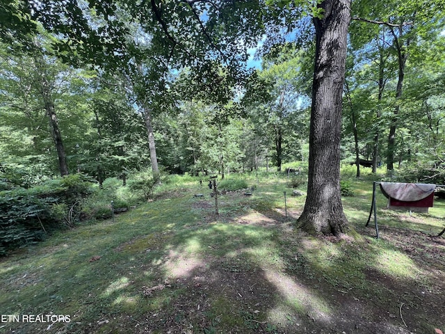 119 Wagon Hollow Rd, Middlesboro, KY 40965 - photo 31
