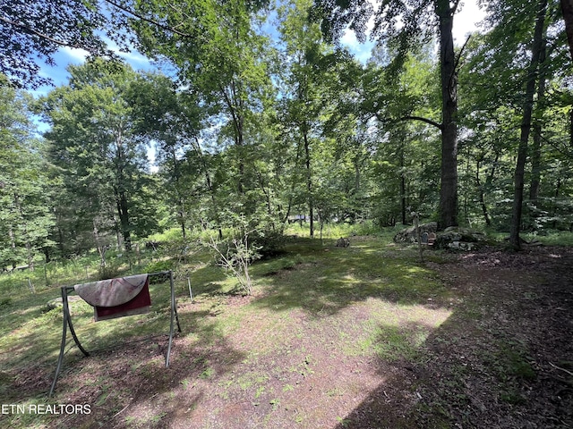 119 Wagon Hollow Rd, Middlesboro, KY 40965 - photo 32