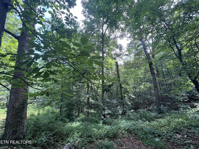 119 Wagon Hollow Rd, Middlesboro, KY 40965 - photo 33